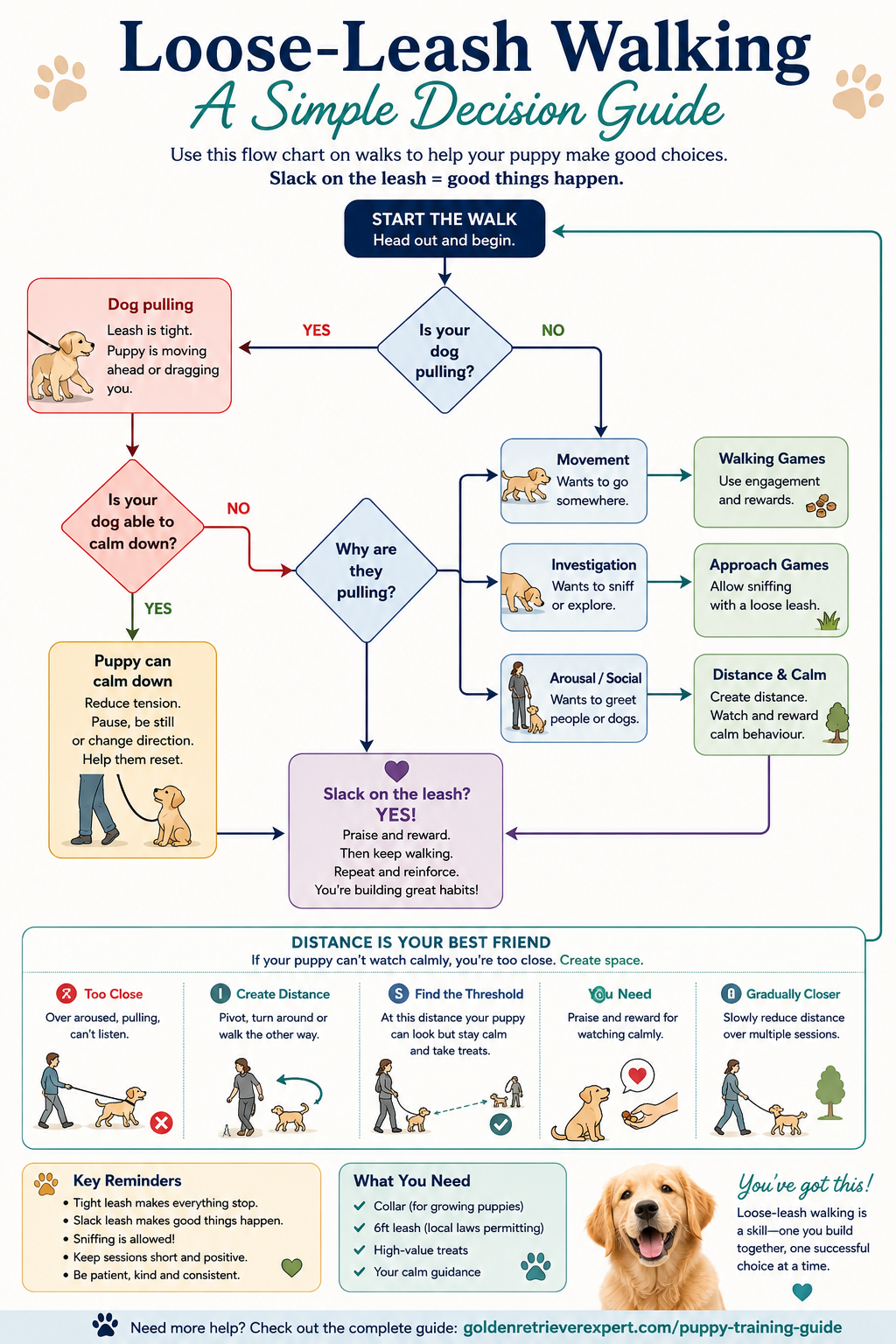 Golden Retriever puppy loose-leash walking flowchart showing what to do when a puppy pulls and how to reward a slack leash