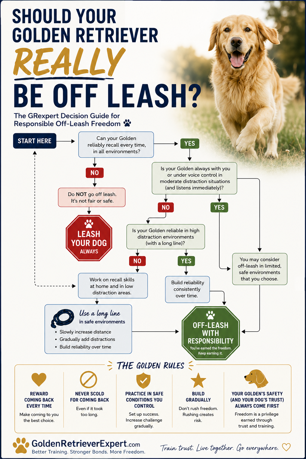 Golden Retriever off-leash readiness decision flowchart covering recall reliability, distractions, safety and responsible off-leash freedom