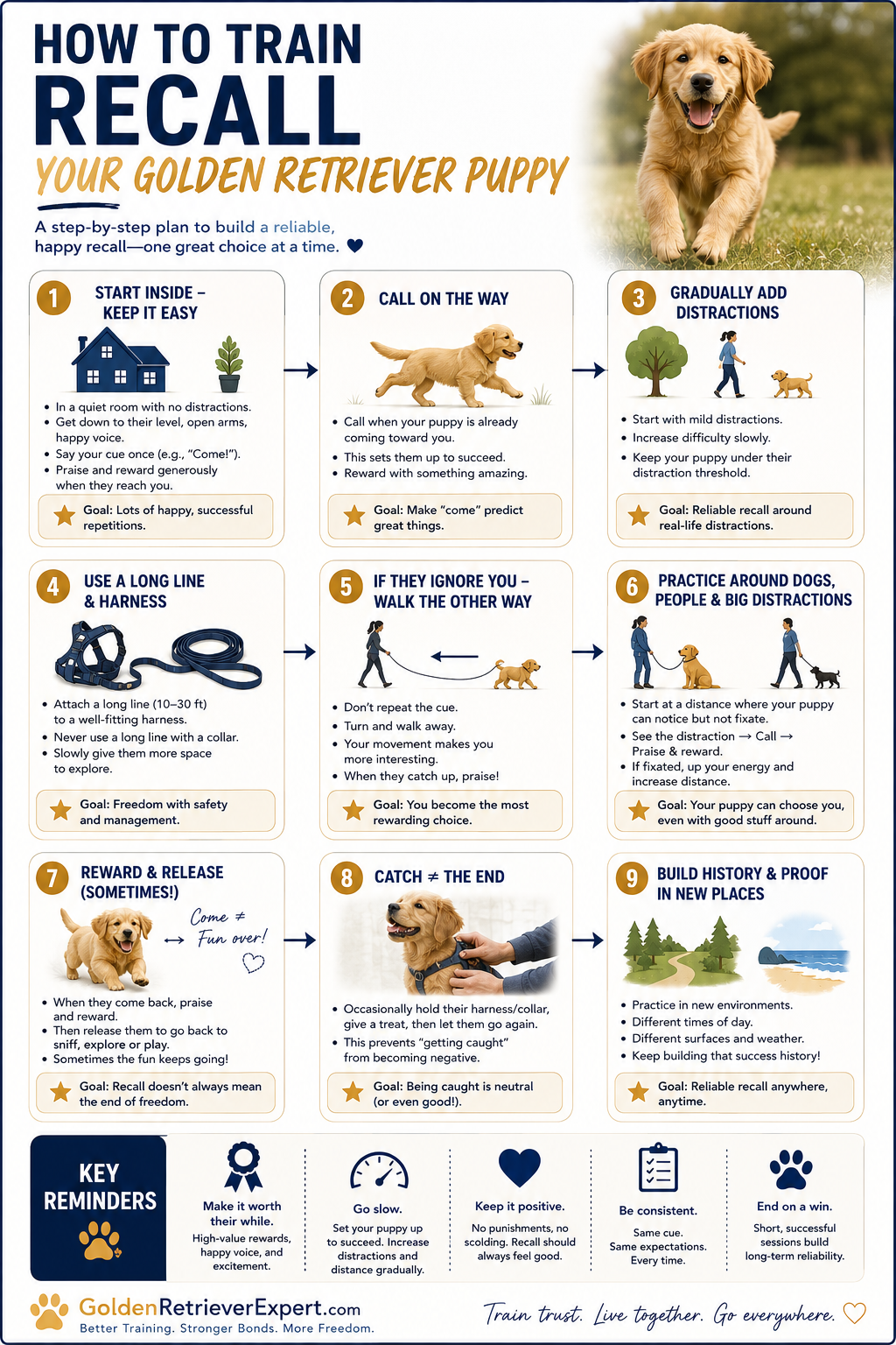 Golden Retriever puppy recall training flowchart showing how to build a reliable recall step by step